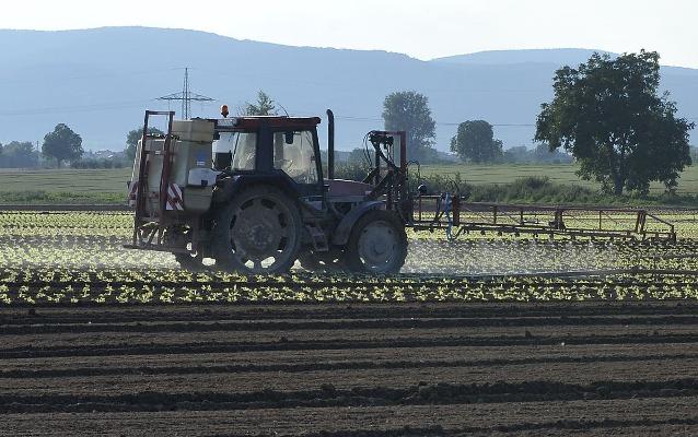 Gemüsebau Pflanzenschutz ausbringen